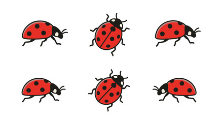 Spotted ladybug beetle position set. © gacor
