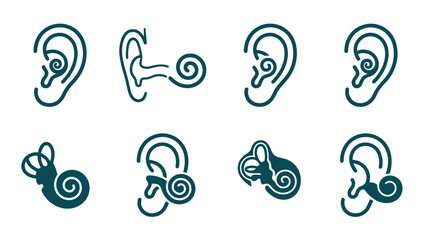 Anatomical diagrams of human ear and cochlea structures. © gacor