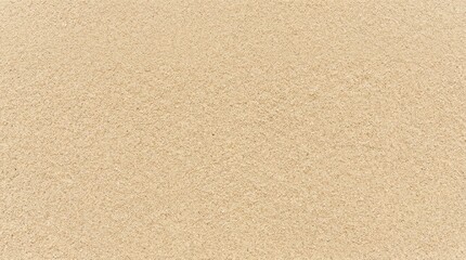 Fototapeta premium Close up Texture of Light Beige Sand on Flat Surface
