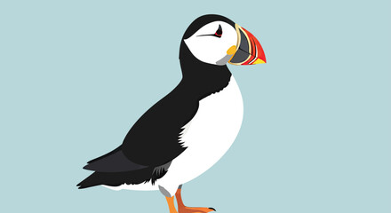 Atlantic puffin illustration on pale teal background. © Sendal