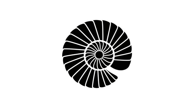 Black ammonite shell spiral icon on white background