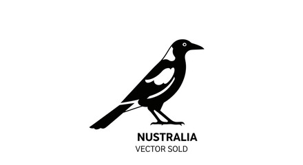 Obraz premium Australian magpie bird silhouette on white background
