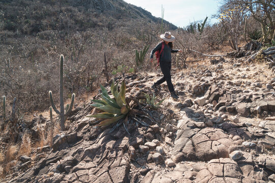 Woman with a hat carefully hiking on a rocky desert trail