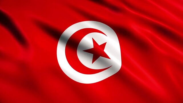 waving flag of tunisia