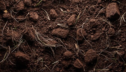 Fototapeta premium Rich Organic Garden Soil With Compost And Tiny Roots Detailed Textured Background Top View Earthy Brown Tones Natural Horticulture Backdrop For Design And Print