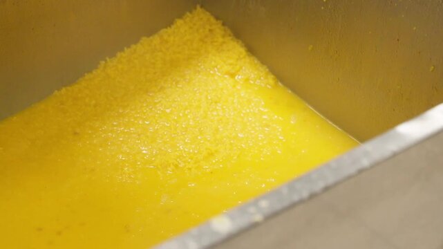 Professional canteen staff member wearing gloves scooping cooked yellow rice from a large stainless steel container in an industrial kitchen