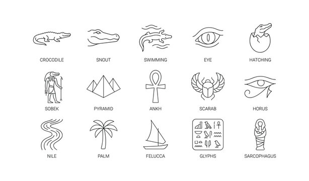 Crocodile and egyptian themed icons arranged in grid on white background