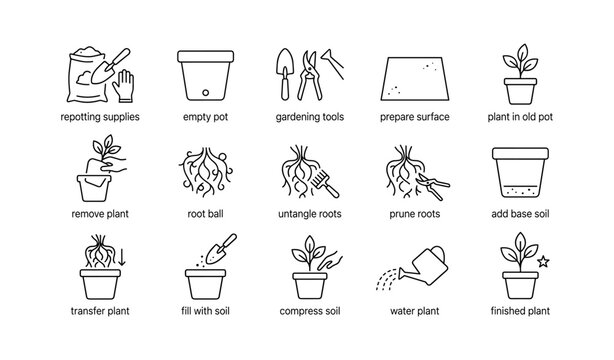 Plant repotting and gardening steps shown in grid on white background
