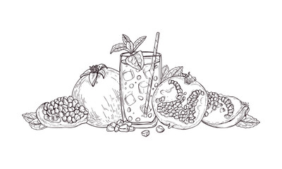 Pomegranate juice with ice and mint leaf in glass black ink line art. Fresh fruit beverage arrangement. Hand drawn illustration of organic detox drink for healthy diet concept and menu design. © Masha_tolk_art