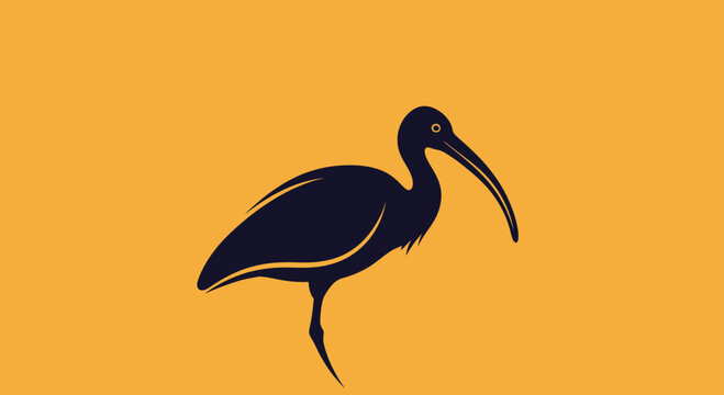 Black ibis bird silhouette on vibrant orange background