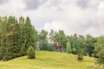 Tree house up in a tree at a forest edge on a hill © Lars Johansson