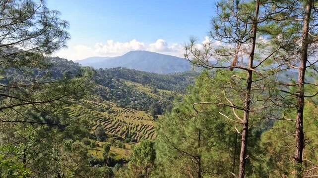 Scenic View Of Terraced Fields And Small Village Near Shitla Almora Uttarakhand