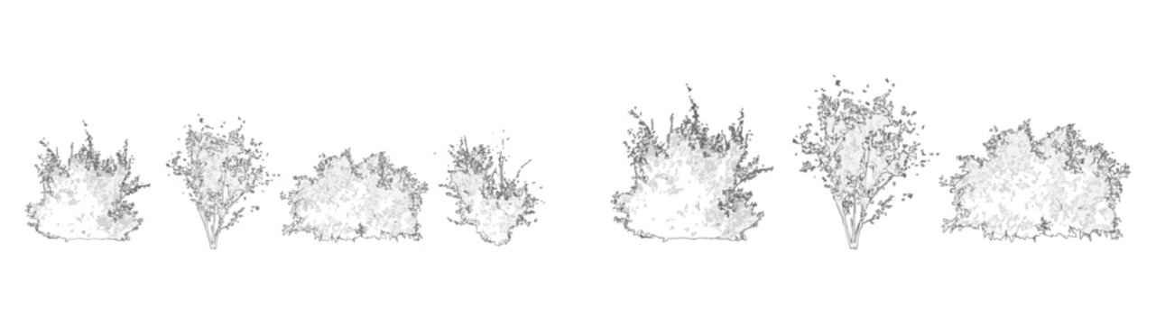 Landscape Bush Outline Icons Vector Set Garden Shrub Collection
