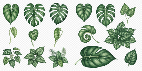 Set of tropical leaves, including monstera, philodendron, and other exotic foliage, in a watercolor style. © Ytaja