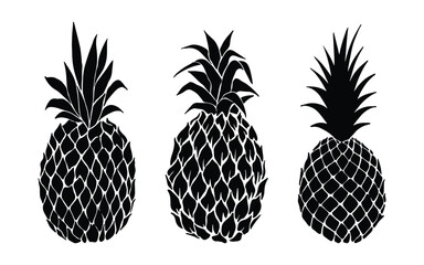 Obraz premium Pineapple Icon Set – Tropical Fruit, Fresh Pineapple, Summer Food, Outline, Solid & Silhouette Vector Collection
