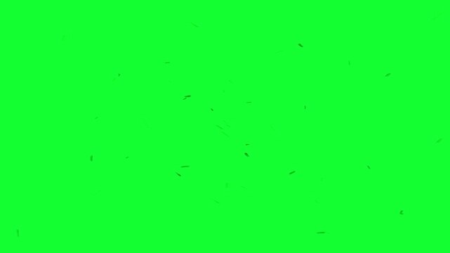 Swarm flying insects spreading disease and virus on green screen animation