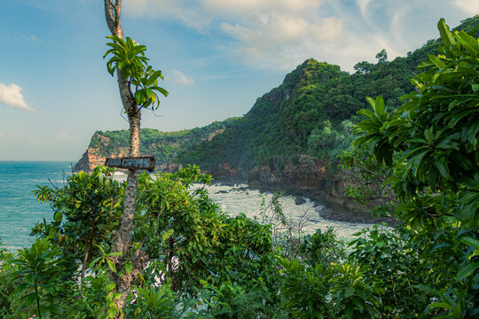 A daytime coastal landscape of Ngitun Beach, Yogyakarta, featuring a wooden "AREA CAMPING" sign mounted on a tree, overlooking a scenic sandy cove and turquoise ocean. High-res stock.
