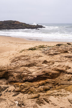 The beach and Pacifc Ocean at Bean Hollow State Park, California
