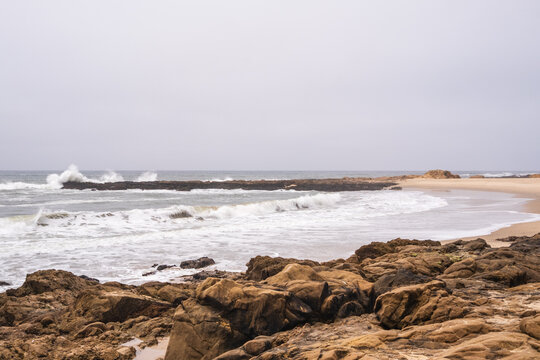 The beach and Pacifc Ocean at Bean Hollow State Park, California