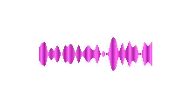 Animated magenta sound contour waveform overlay with vibrant audio visualization for video editing, broadcast graphics, music content and creative media. alpha channel