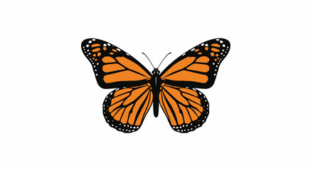 Orange Monarch Butterfly Wings Spread. © sapari