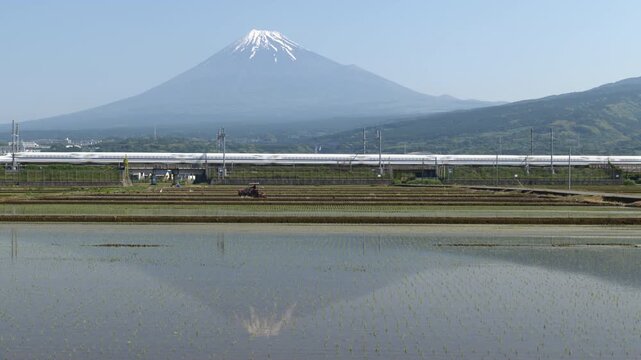 Mt. Fuji Reflected in Rice Paddies in Spring wit Farming Tractors and Shinkansen Bullet Trains (Realtime | Panning | No Audio)