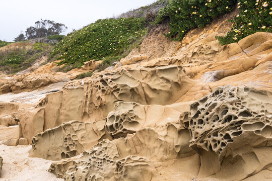 tafoni honeycomb rock formations at Bean Hollow State Park, California