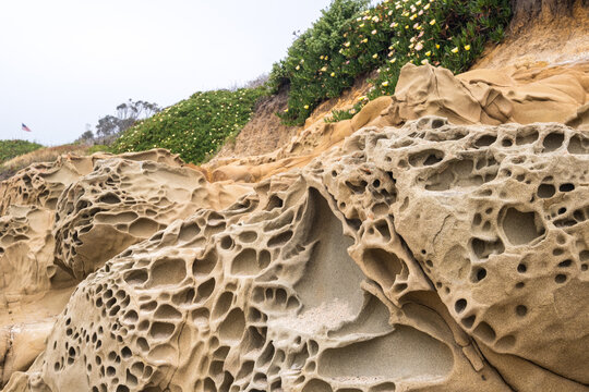 tafoni honeycomb rock formations at Bean Hollow State Park, California