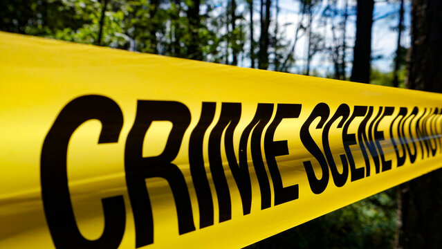 Yellow crime scene barricade tape with CRIME SCENE DO NOT ENTER text stretched across a woodland area, indicating restricted access for an ongoing investigation