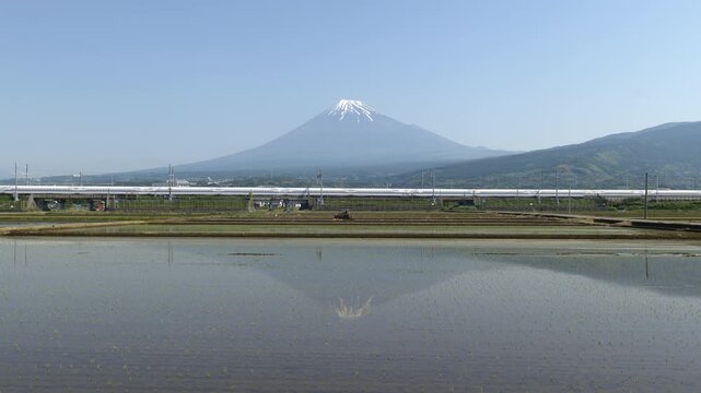 田植え後の水田に映り込む富士山と新幹線および農作業中のトラクターのリアルタイム映像（広角、フィックス）