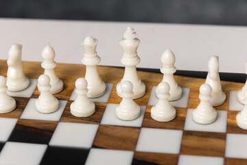 The chessboard contains white pieces: pawns, a knight, a bishop, and a rook. Selective focus on the white pieces. © Natalya Likhina