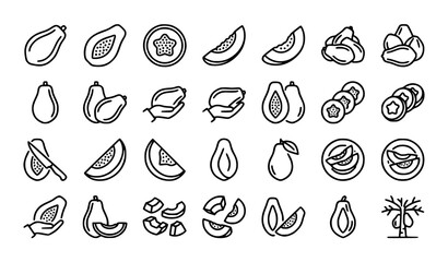 Fototapeta premium Papaya fruit, fresh harvest and healthy food icon set