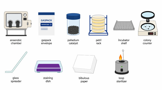 Collection of laboratory equipment and scientific tools.