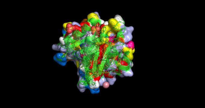 BRCA1 tumor suppressor breast cancer mutant M1775K causing DNA repair failure, 3D molecule spinning 4K