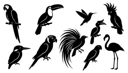 Tropical Bird Silhouette Collection with Exotic Flying and Perching Species Vector Set © Afjal12