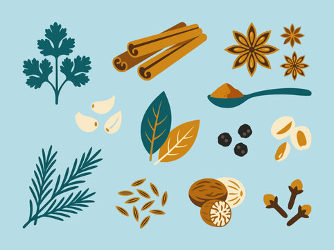 Flat vector illustration of various kitchen herbs and spices
