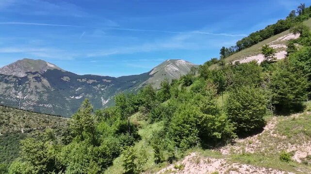 Panoramica mozzafiato di montagne maestose sotto un cielo blu limpido, circondate da rigogliosi pendii boschivi verdi in una giornata estiva soleggiata