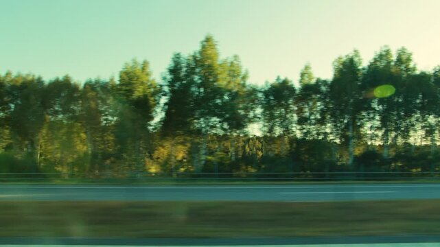 Dynamic side view from car window capturing fast passing summer scenery, lush green forest trees, a long stretch of highway, concept of journey, speed, travel, motion blur.