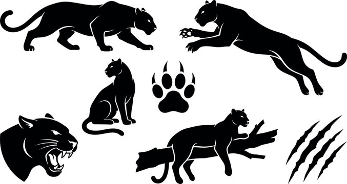 Black Panther and Jaguar Silhouette Set with Roaring Head Paw Print and Scratch Marks for Sports Team Mascot and Wildlife Graphic Designs
