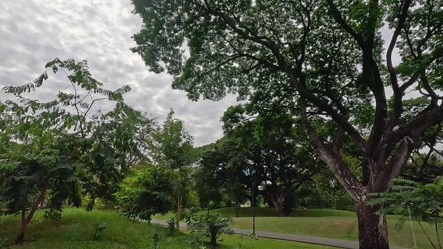 Lush Tropical Garden with Overcast Sky and Distant City Skyline