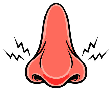 Illustration of a red nose with sinus pressure and sharp ache displayed on white background