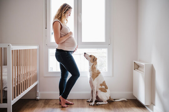 Pregnant woman with hands on stomach looking at dog while standing by window