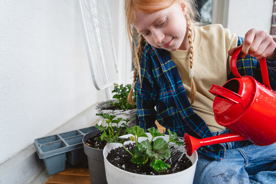 Watering potted plant on balcony with red watering can