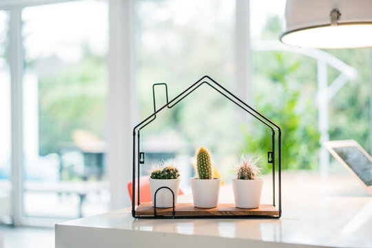 Tiny house model with cacti inside