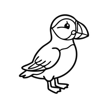Simple Puffin Outline Vector Illustration for Children Marine Life Coloring Activity