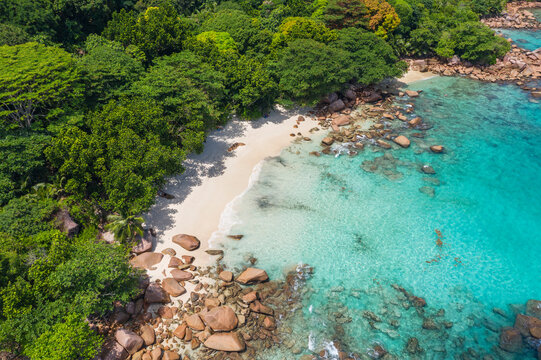 Seychelles, Praslin Island, Aerial view of Anse Lazio sandy beach with crystal clear turquoise ocean