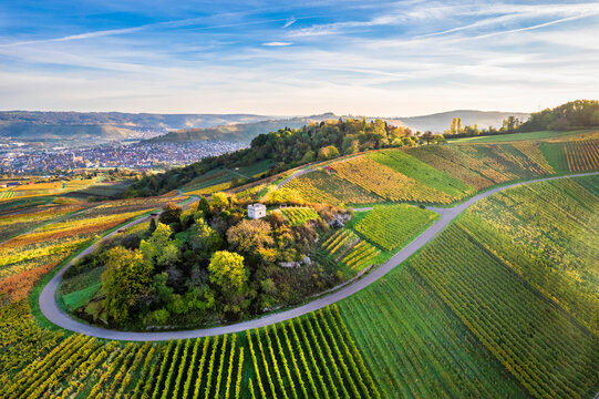 Germany, Baden-Wurttemberg, Drone view of autumn vineyards in Remstal