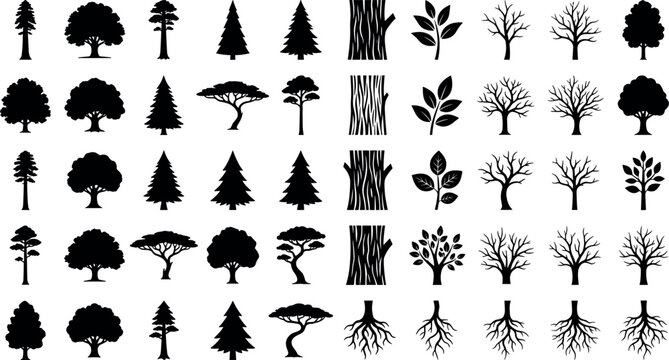 Tree Silhouette and Botanical Element Vector Set Featuring Bark Textures Roots Leaves and Bare Branches for Autumn Winter Landscape and Nature Graphic Designs