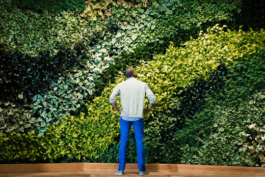 Young man standing in front of green plant wall, rear view