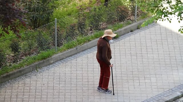 Hombre anciano con bast&oacute;n y sombrero viejo con aire viento hoja paseando por acera calle adoqu&iacute;n movilidad tercera edad abuelo activo paseo naturaleza &aacute;rbol saludable